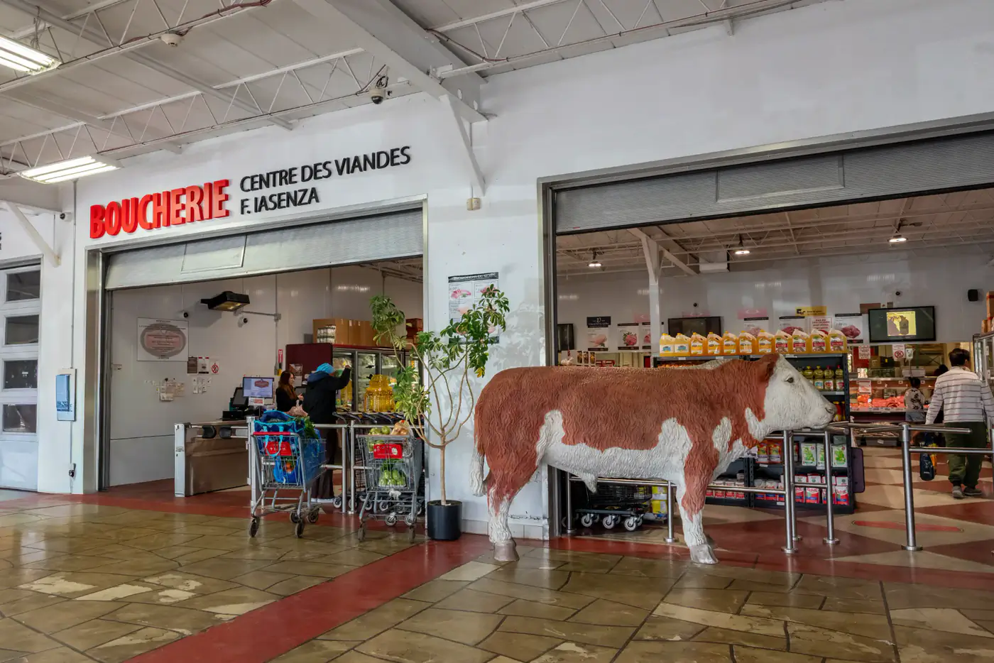 Entrée de la succursale LaSalle sous l'enseigne Boucherie Centre des Viandes F. Iasenza, avec une statue de vache